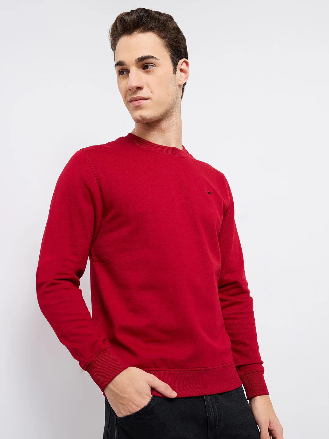Park Avenue Men Red Solid Slim Fit Cotton Blend Round Neck Collar Sweatshirt - Image 2