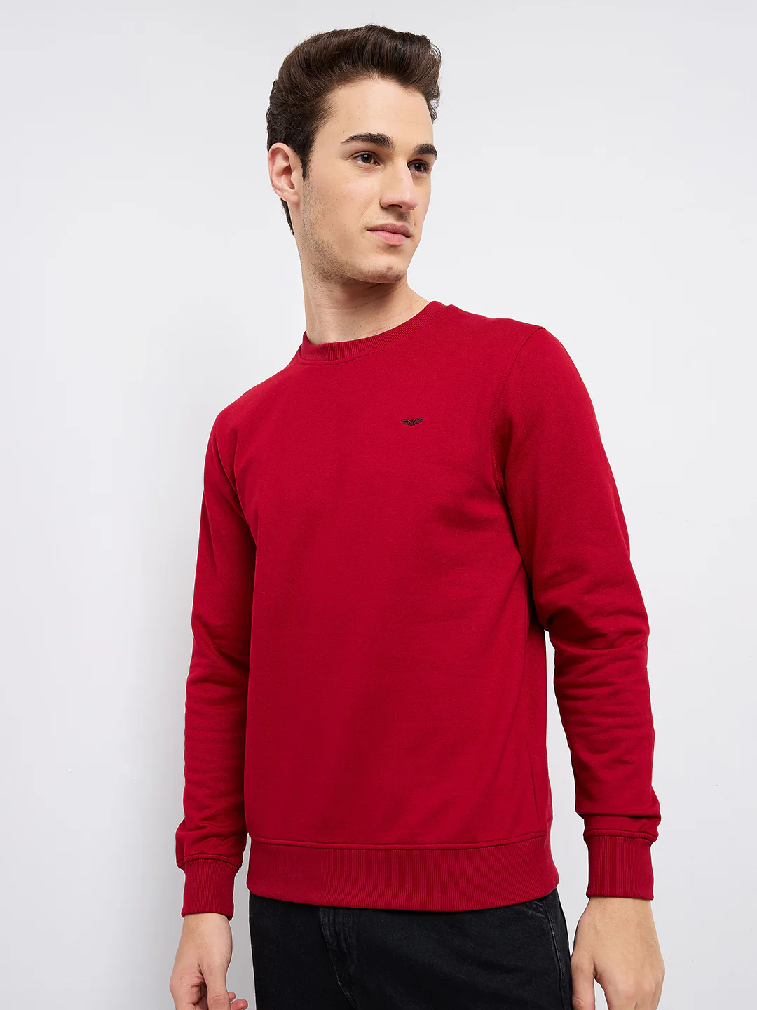 Park Avenue Men Red Solid Slim Fit Cotton Blend Round Neck Collar Sweatshirt - Image 3