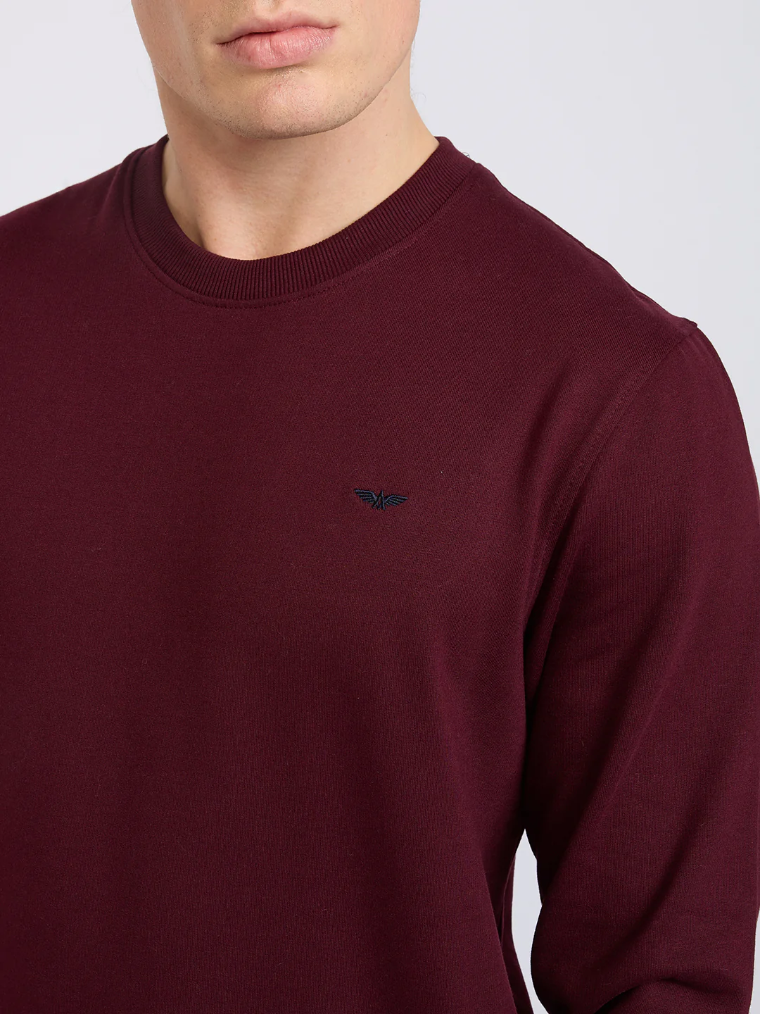 Park Avenue Men Red Solid Slim Fit Cotton Blend Round Neck Collar Sweatshirt - Image 6