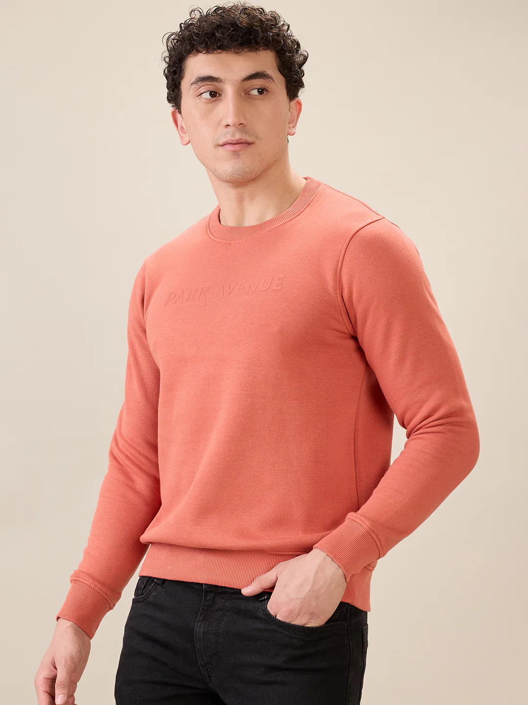 Park Avenue Men Red Solid Slim Fit Cotton Blend Round Neck Collar Sweatshirt - Image 3