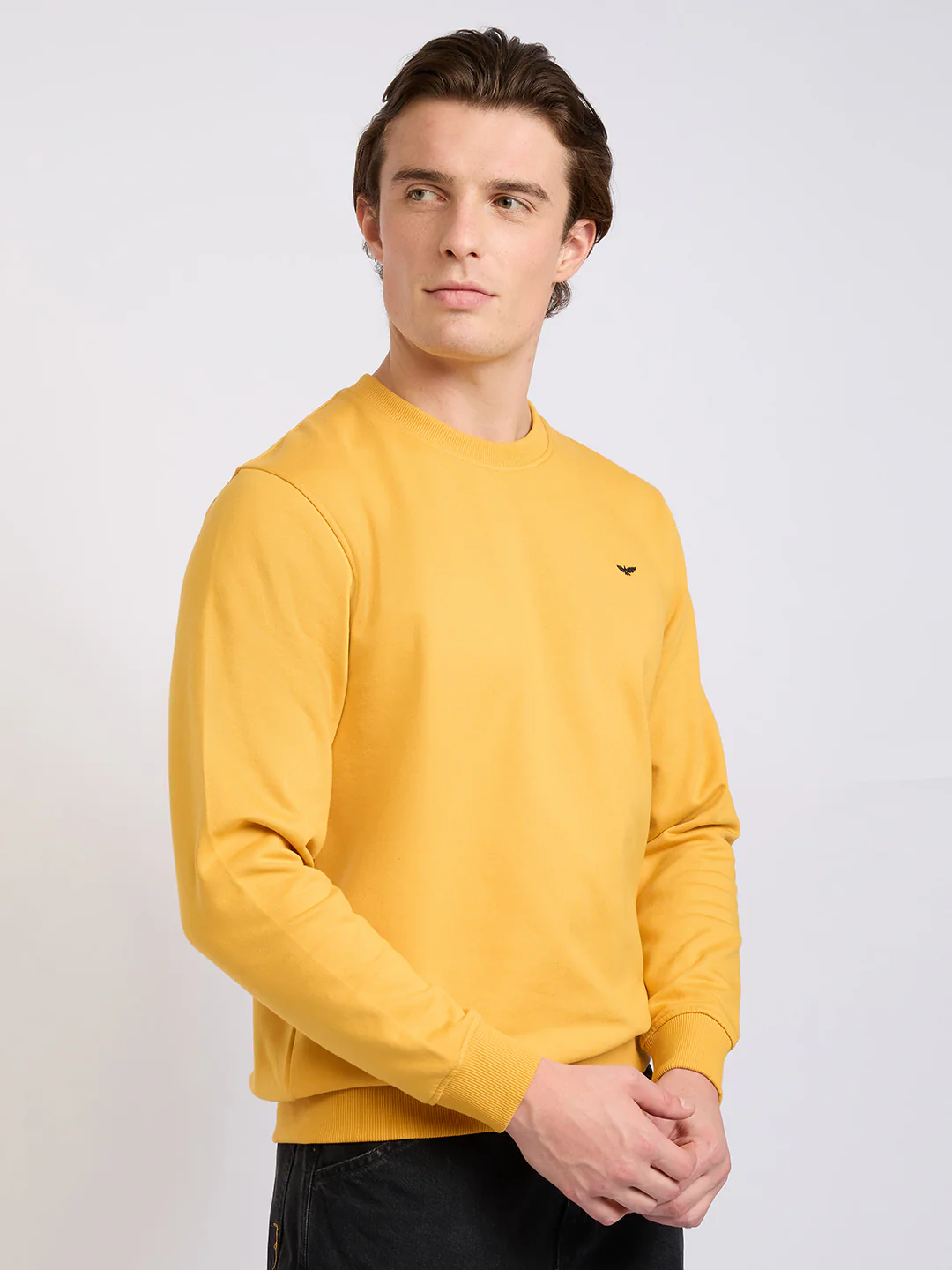Park Avenue Men Yellow Solid Slim Fit Cotton Blend Round Neck Collar Sweatshirt - Image 2