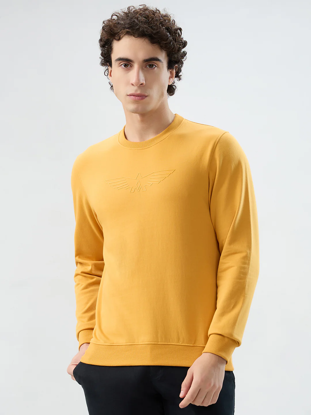 Park Avenue Men Yellow Solid Slim Fit Cotton Blend Sweatshirt