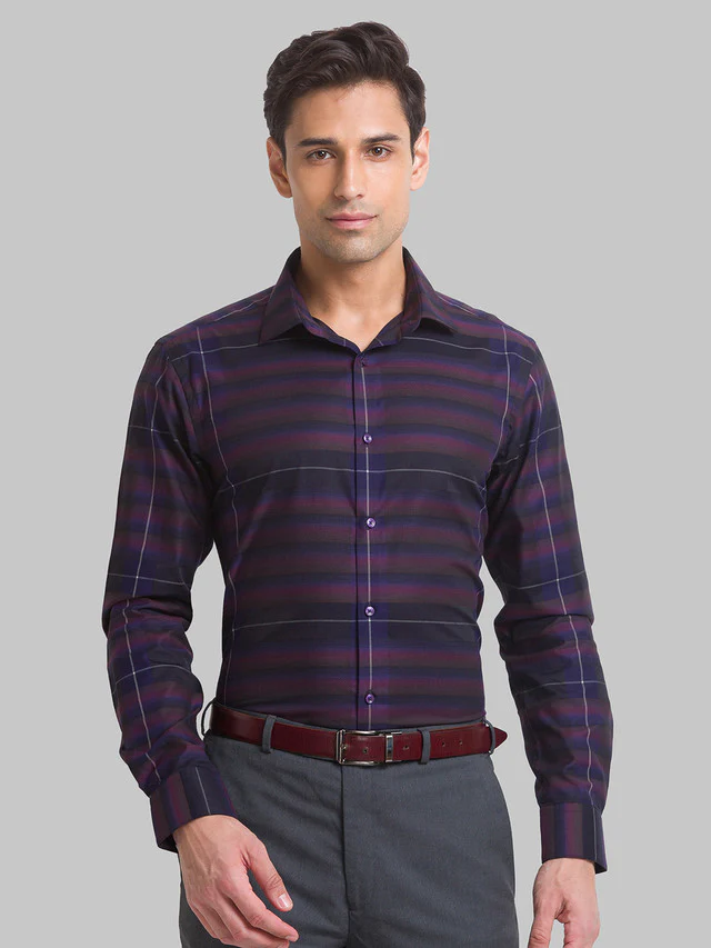 Park Avenue Purple Checks Slim Fit Cotton Formal Shirt