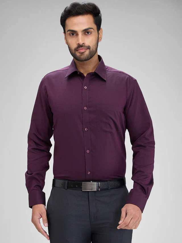Park Avenue Purple Structure Regular Fit Full Sleeve Cotton Shirt
