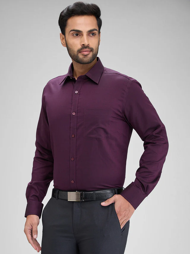 Park Avenue Purple Structure Regular Fit Full Sleeve Cotton Shirt - Image 3