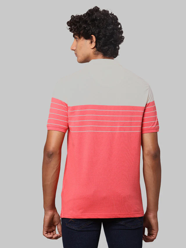 Park Avenue Men Red Slim Fit Stripe Polo Neck Collar T-Shirt - Image 5