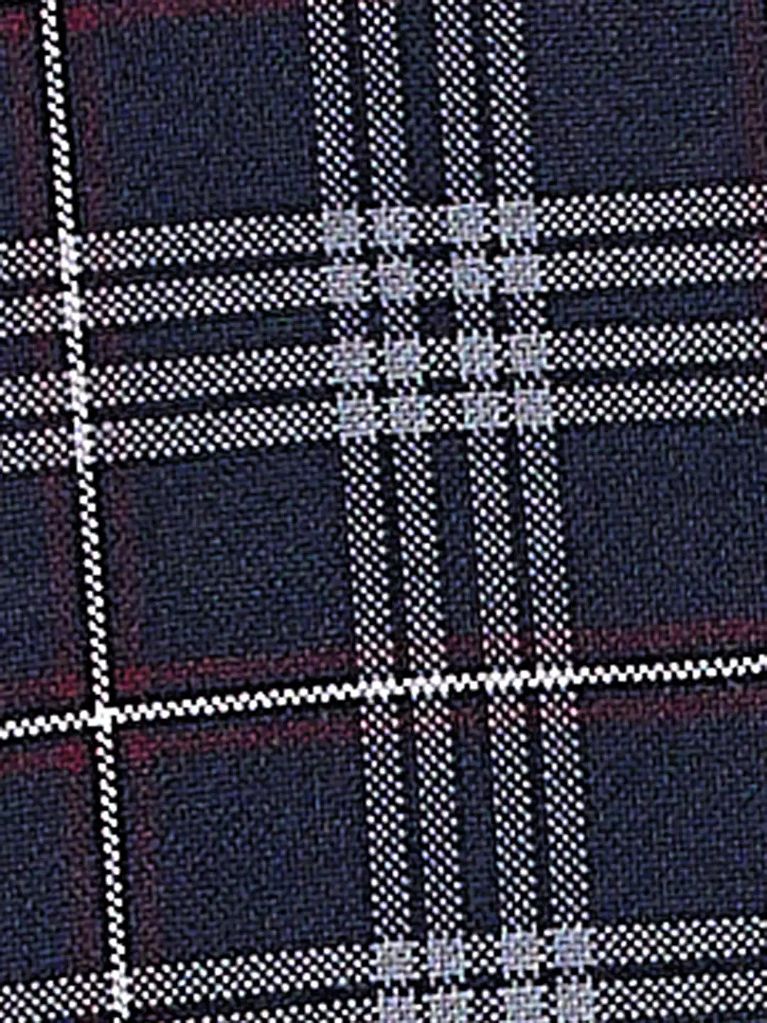 Parx Men Blue Checks Slim Fit Cotton Full Sleeve Shirts - Image 7