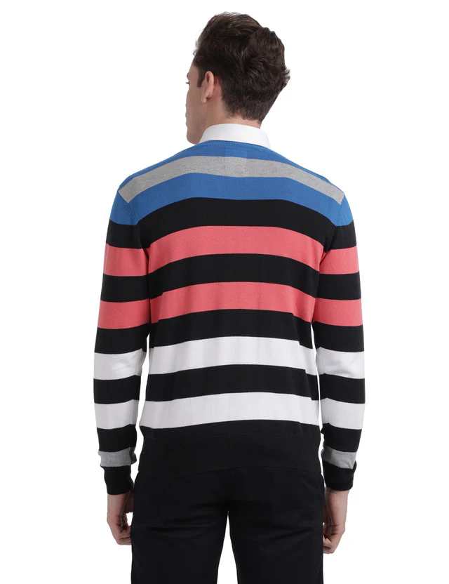 Parx Men Blue Yarn Dyed Regular Fit Full Sleeve V Neck Sweater - Image 4