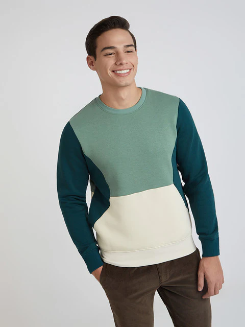 Parx Men Green Cut & Sew Regular Fit Cotton Blend Sweatshirt