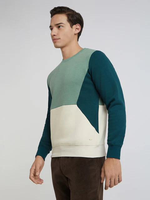 Parx Men Green Cut & Sew Regular Fit Cotton Blend Sweatshirt - Image 3
