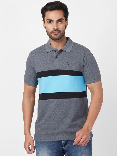 Parx Men Grey Regular Fit Cut & Sew Polo Neck T-Shirt