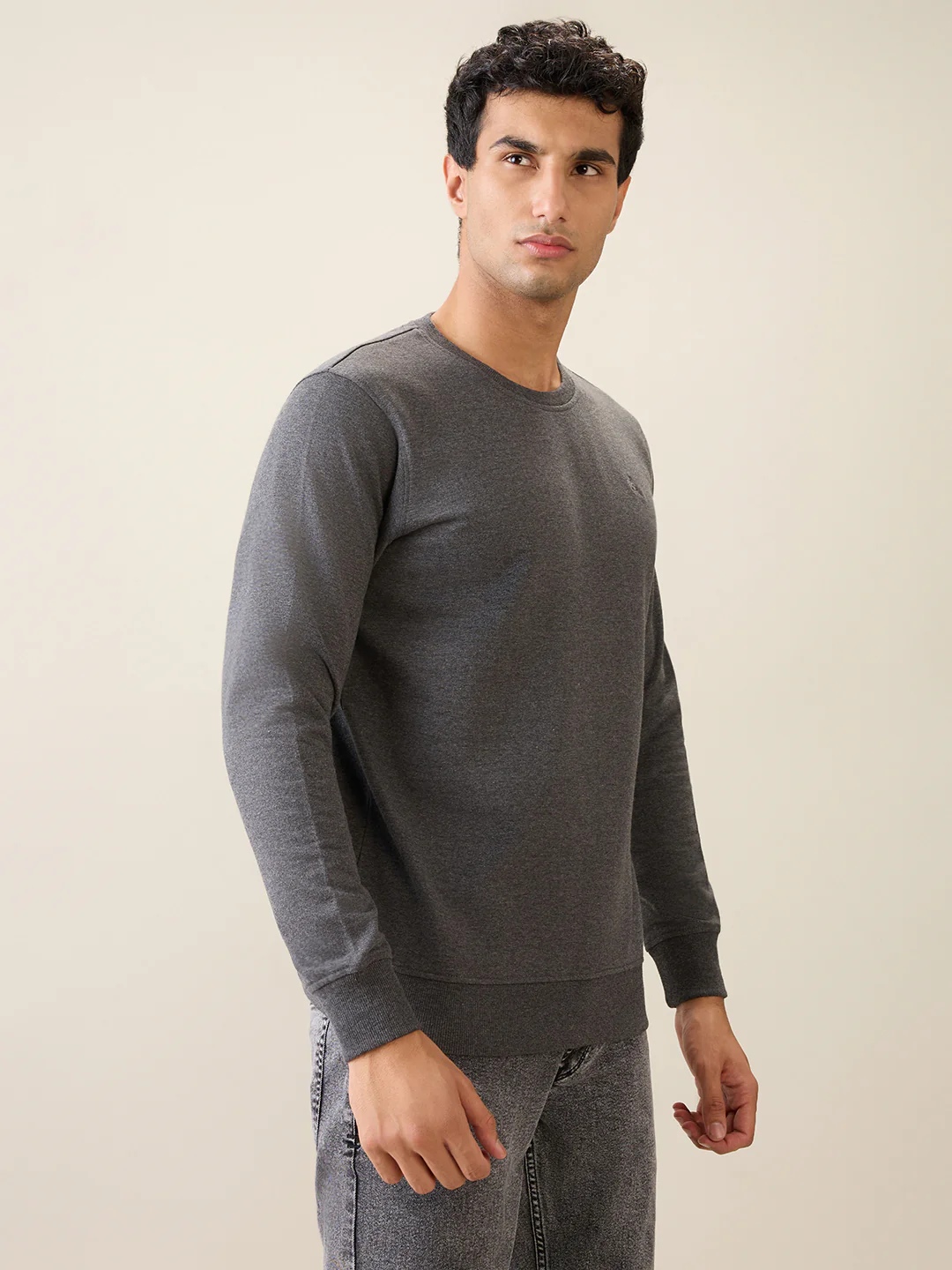 Parx Men Grey Solid Regular Fit Cotton Blend Full Sleeve Round Neck Collar Sweatshirt - Image 3
