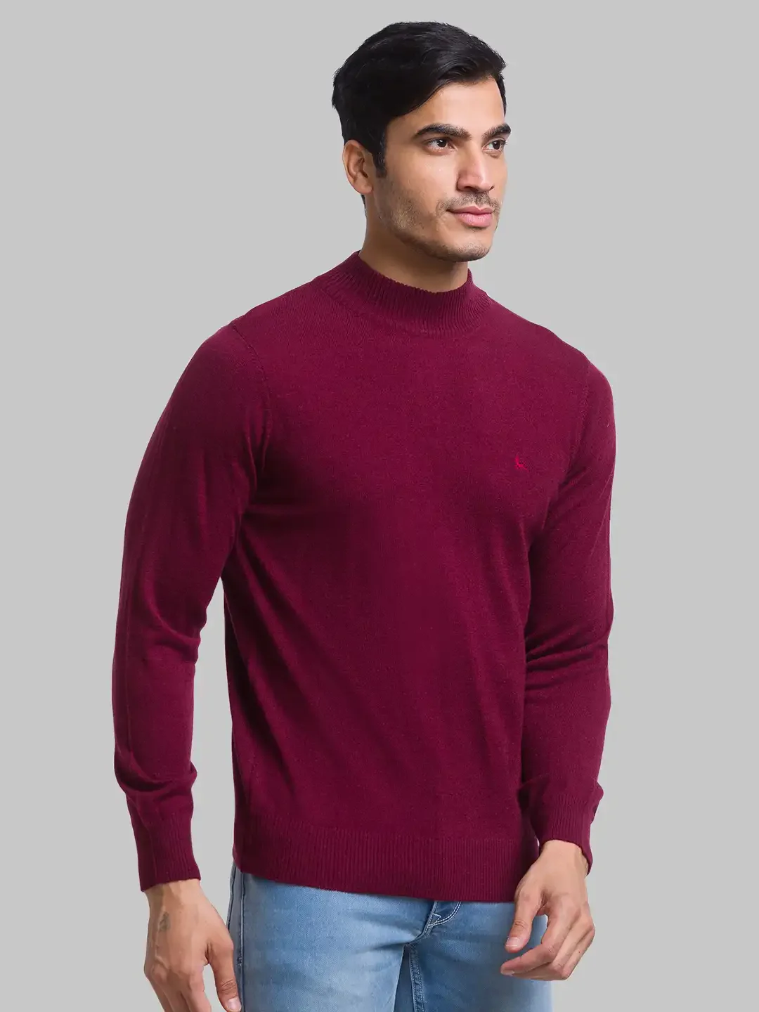 Parx Men Maroon Regular Fit Solid Acrylic Blend Full Sleeves Turtle Neck Sweater - Image 2