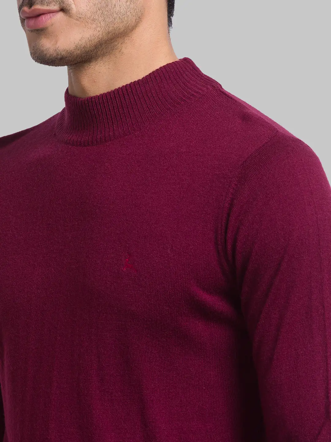 Parx Men Maroon Regular Fit Solid Acrylic Blend Full Sleeves Turtle Neck Sweater - Image 6