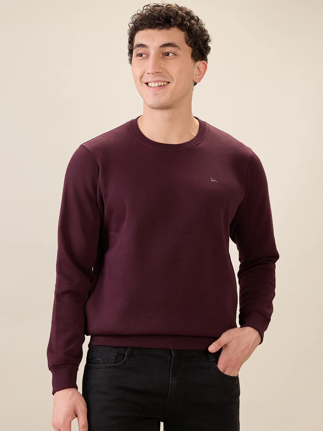Parx Men Purple Solid Regular Fit Cotton Blend Sweatshirt