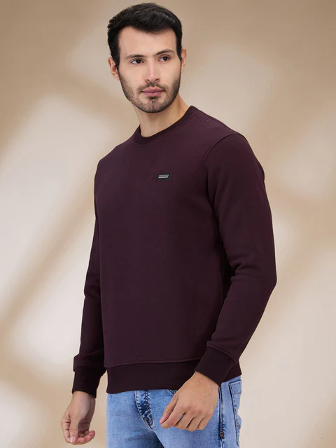 Parx Men Purple Structure Regular Fit Cotton Blend Sweatshirt - Image 3