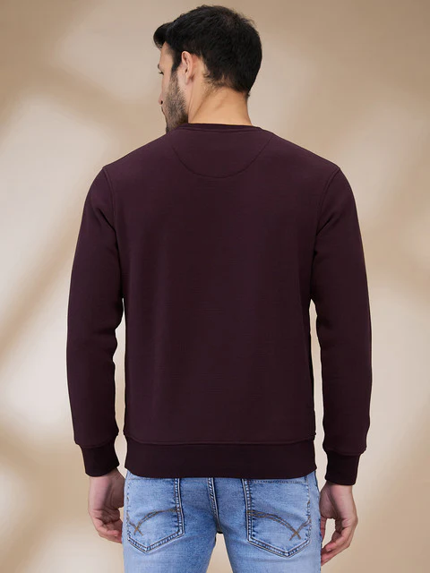 Parx Men Purple Structure Regular Fit Cotton Blend Sweatshirt - Image 4