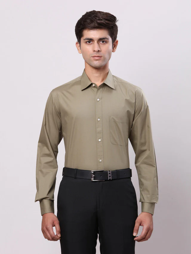 Raymond Green Solid Regular Fit Cotton Formal Shirt