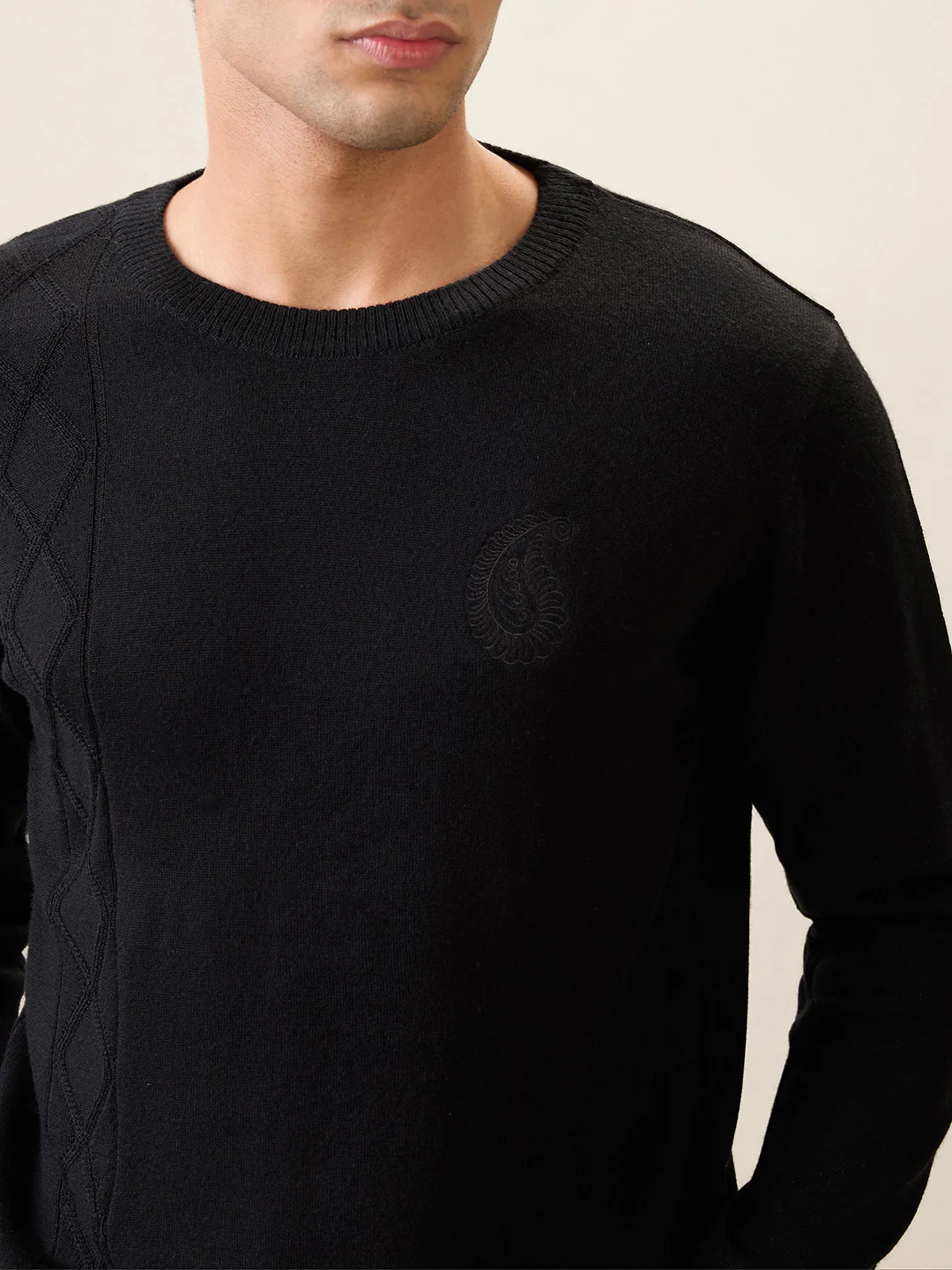 Raymond Men Black Structure Wool Blend Full Sleeve Round Neck Collar Sweater - Image 7