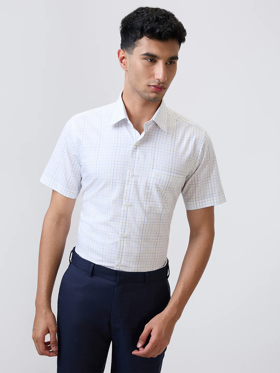 Raymond Men Blue Checks Regular Fit Cotton Formal Shirt
