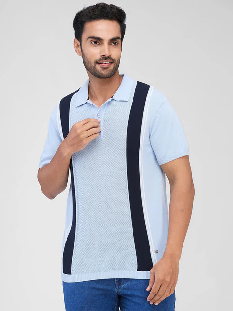 Raymond Men Blue Stripe Contemporary Fit Cotton T-Shirt