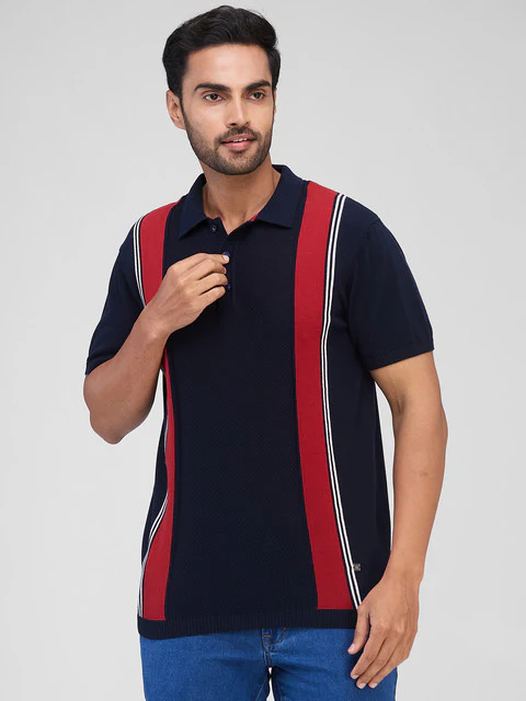 Raymond Men Blue Stripe Contemporary Fit Cotton T-Shirt
