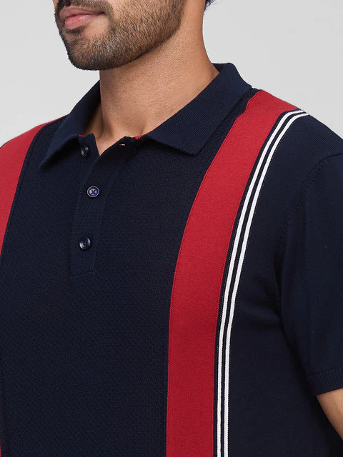 Raymond Men Blue Stripe Contemporary Fit Cotton T-Shirt - Image 6