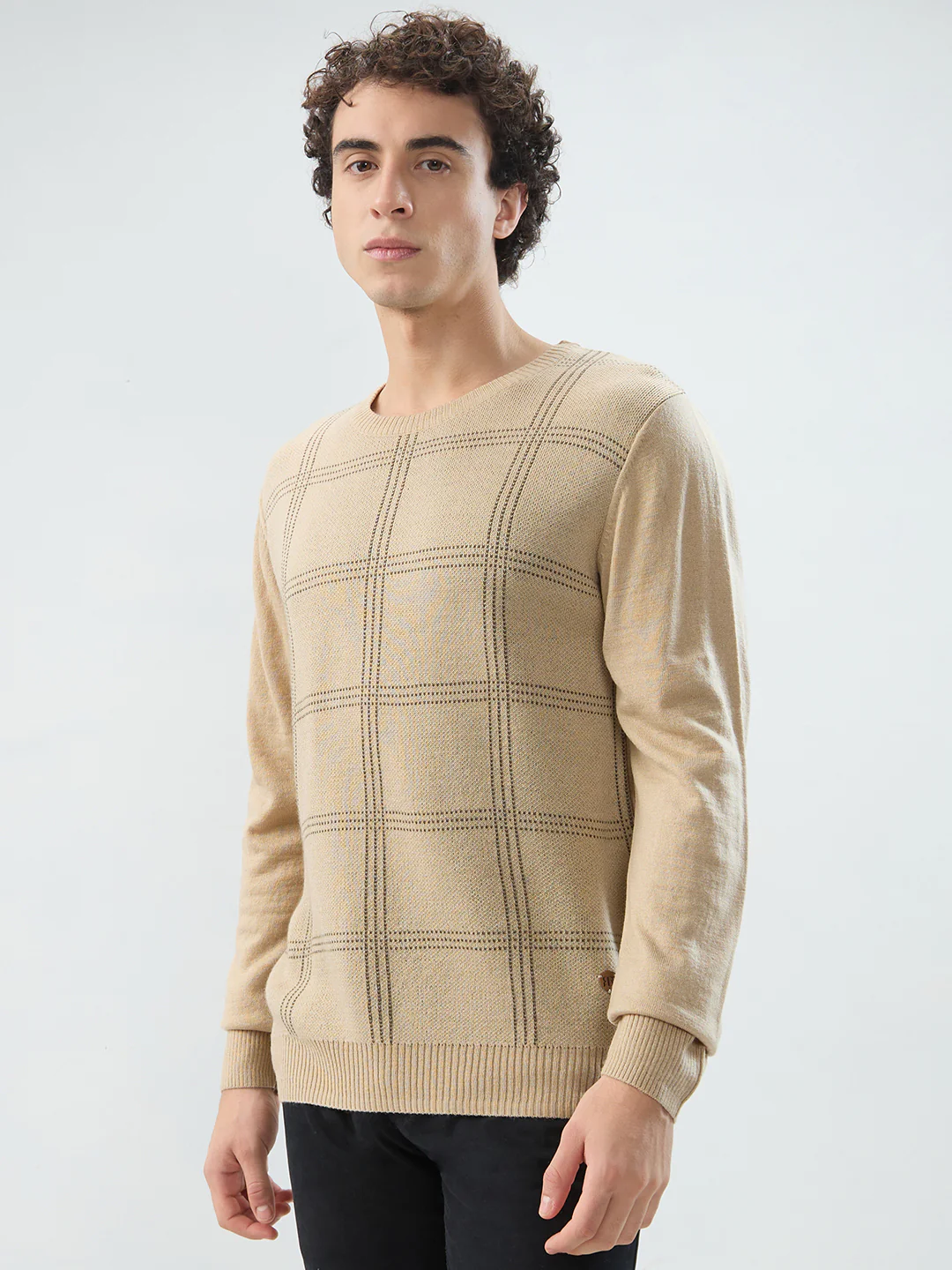 Raymond Men Brown Checks Acrlic Blend Sweatshirt - Image 3