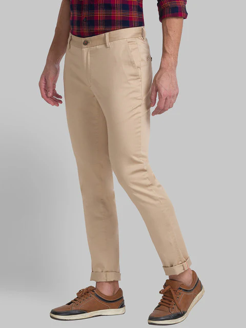 Raymond Men Brown Solid Slim Fit Cotton Blend Trouser - Image 3