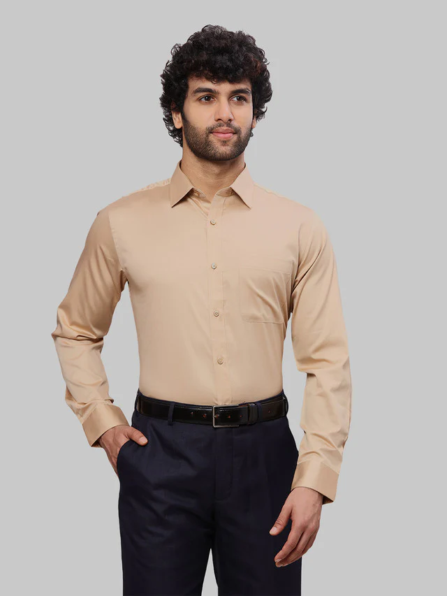 Raymond Men Brown Solid Slim Fit Cotton Formal Shirt