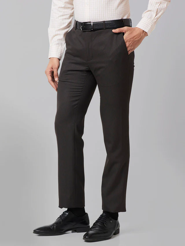Raymond Men Brown Striped Slim Fit Trouser - Image 3
