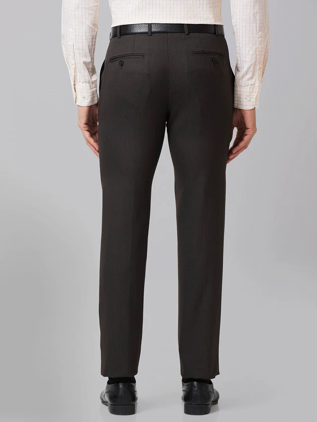 Raymond Men Brown Striped Slim Fit Trouser - Image 4