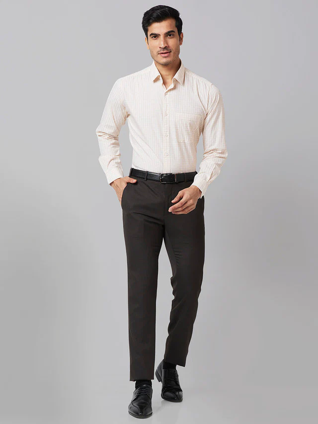 Raymond Men Brown Striped Slim Fit Trouser - Image 5