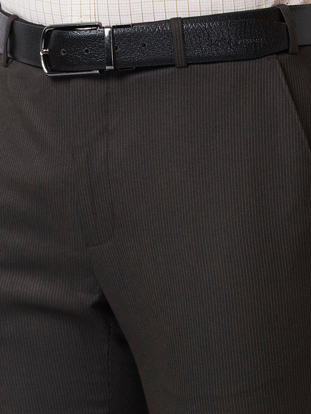 Raymond Men Brown Striped Slim Fit Trouser - Image 6