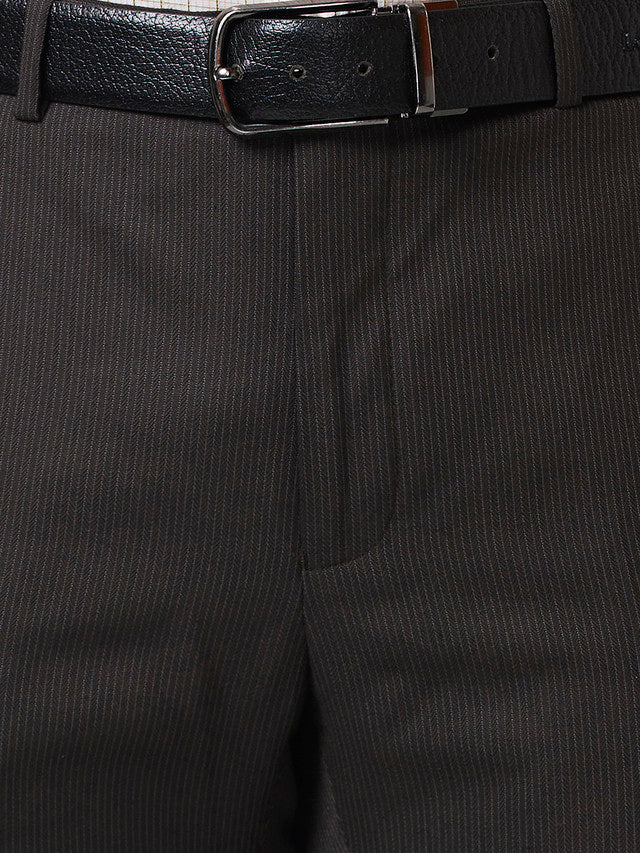 Raymond Men Brown Striped Slim Fit Trouser - Image 7