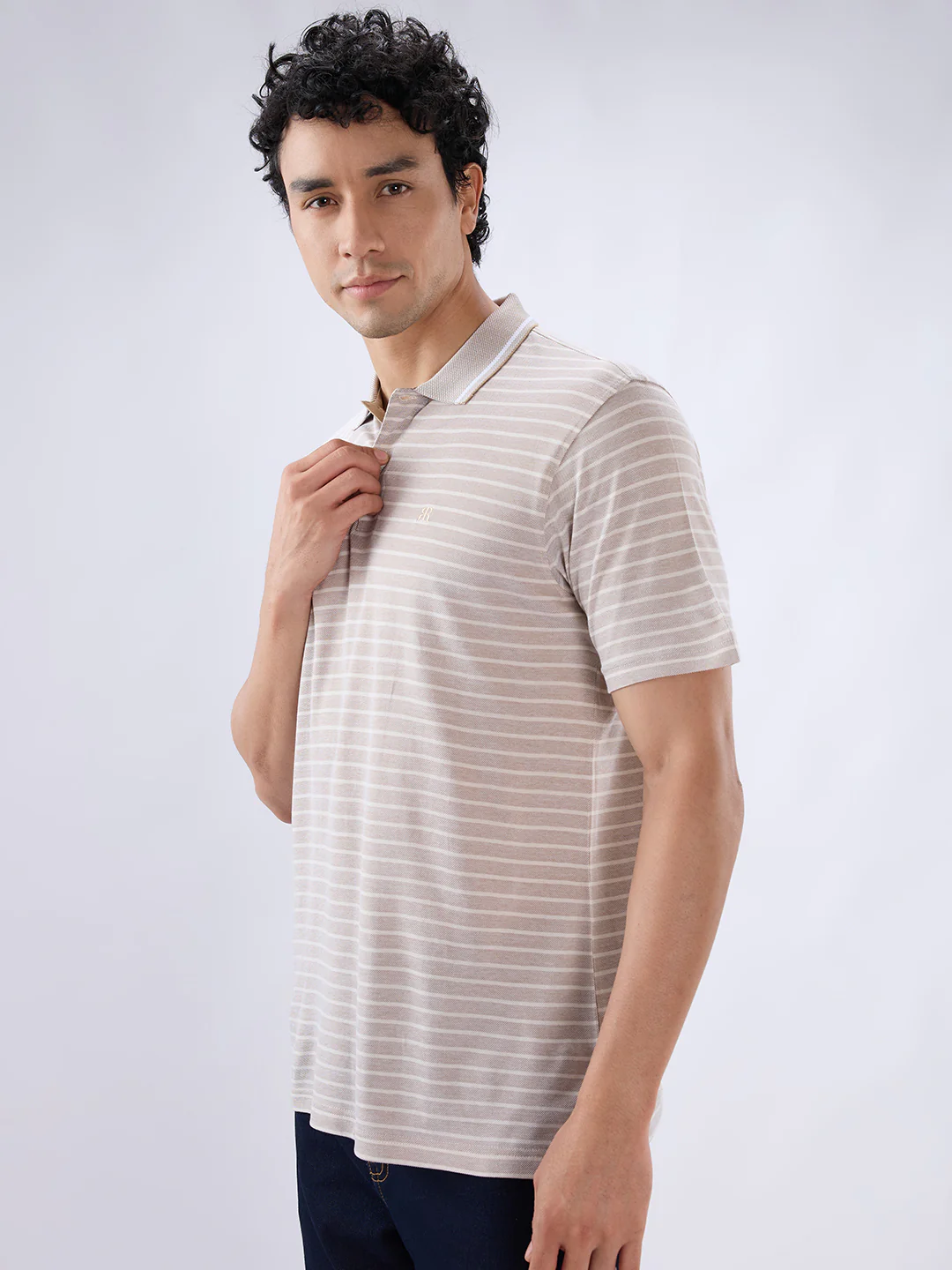 Raymond Men Fawn Regular Fit Stripe Polo Neck Collar T-Shirt - Image 3