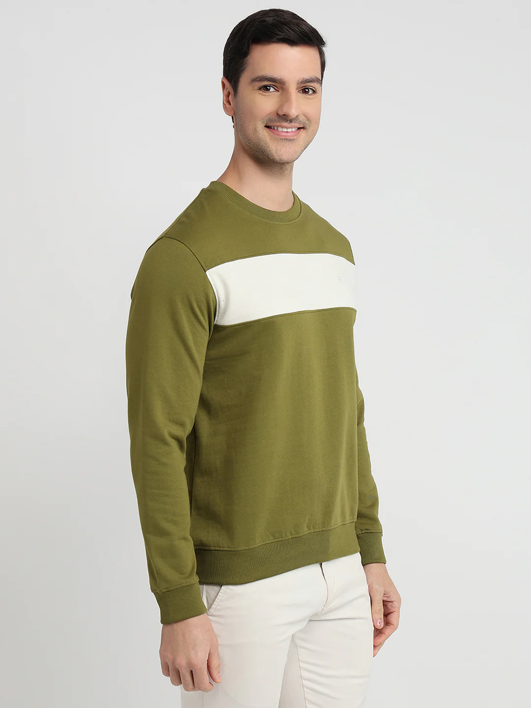 Raymond Men Green Colorblock Regular Fit Cotton Blend Sweatshirt - Image 3