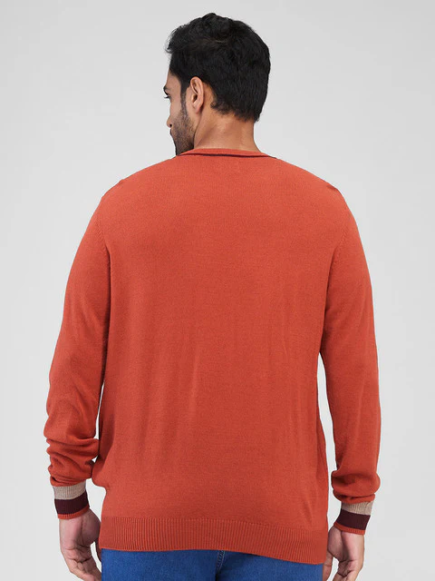 Raymond Men Orange Solid Wool Blend Sweater - Image 4