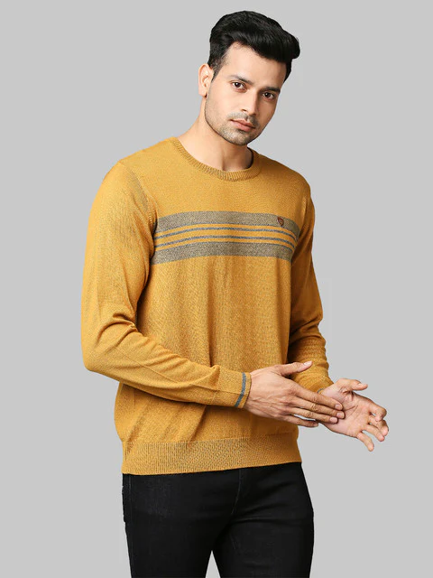 Raymond Men Yellow Stripe Acrylic Blend Sweater - Image 2