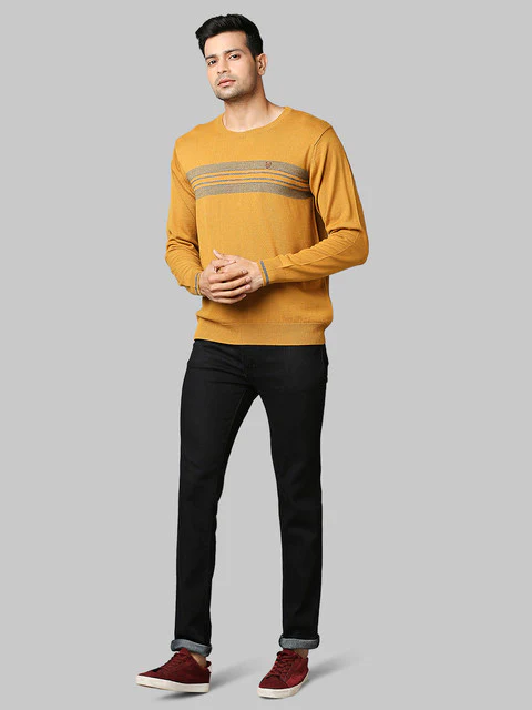Raymond Men Yellow Stripe Acrylic Blend Sweater - Image 5