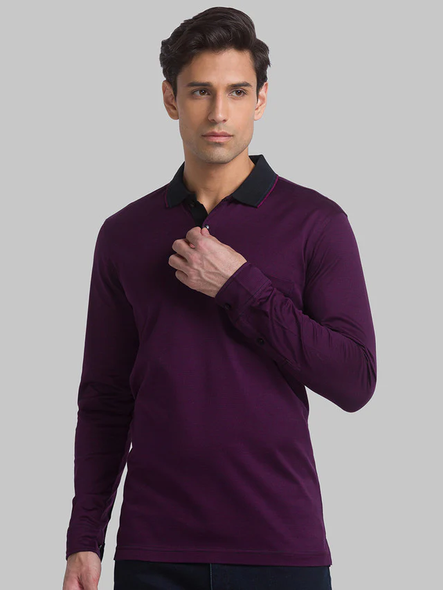 Raymond Purple Jacquard Contemporary Fit Full Sleeve Cotton T-Shirt