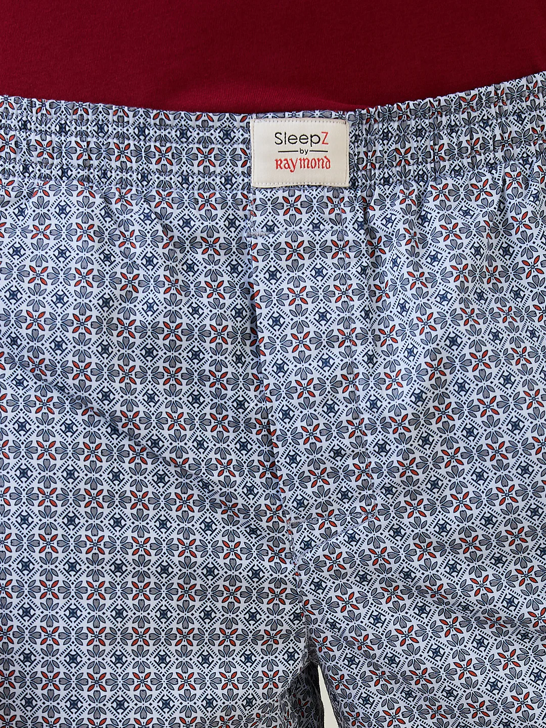 Sleepz Men Blue Print Regular Fit Cotton Boxer - Image 5