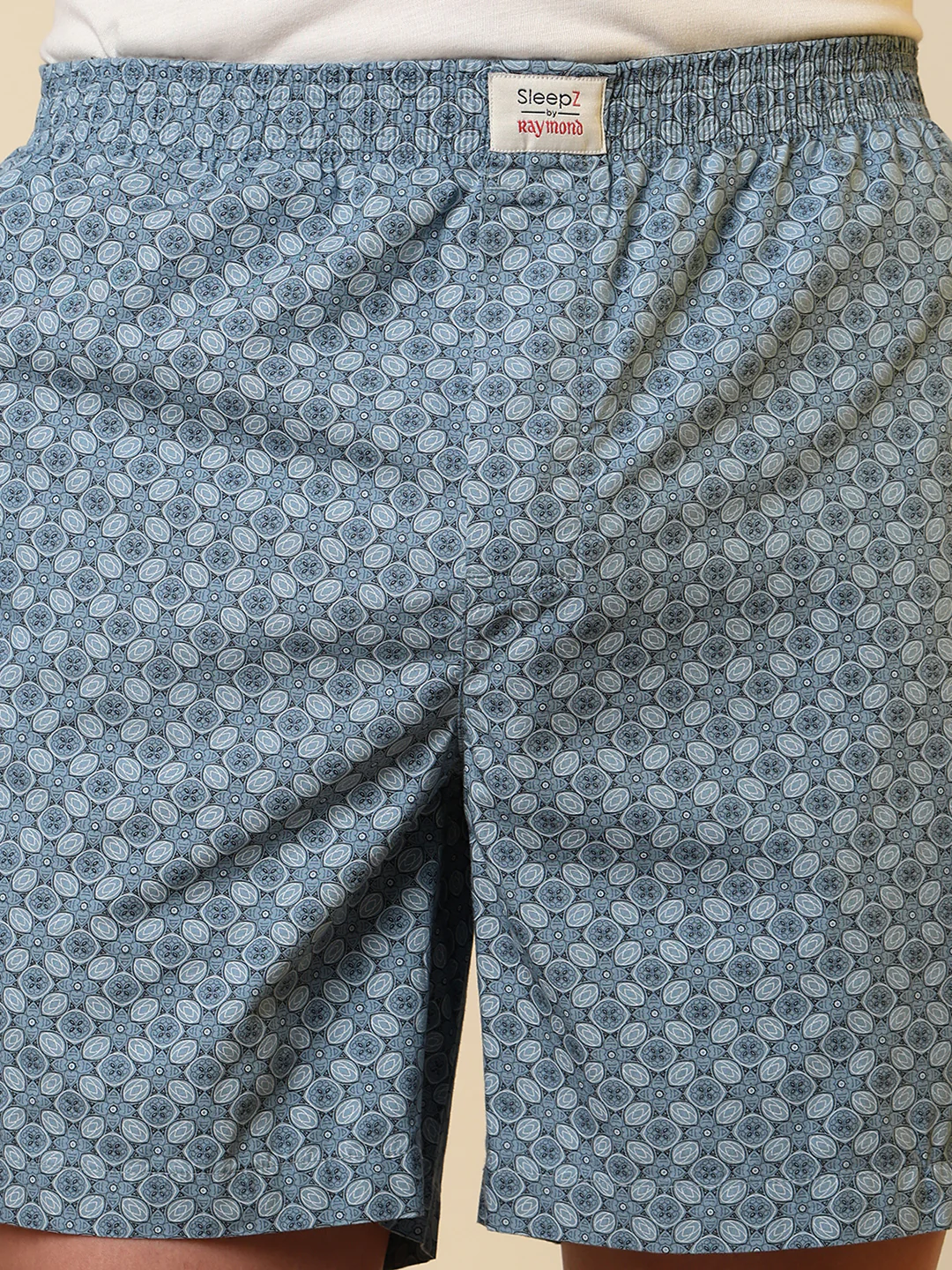Sleepz Men Blue Printed Regular Fit Cotton Boxer - Image 7
