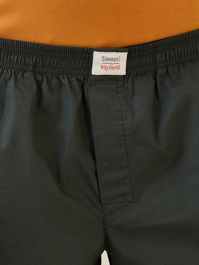 Sleepz Men Green Solid Regular Fit Cotton Boxer - Image 5